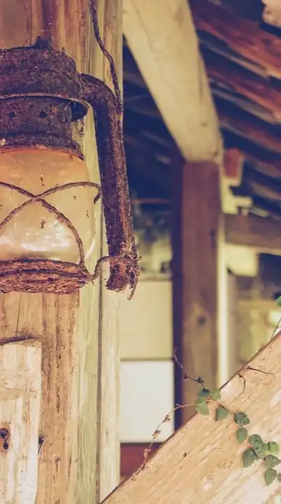 全緩也✨️見る専歓迎✨️声ハント！