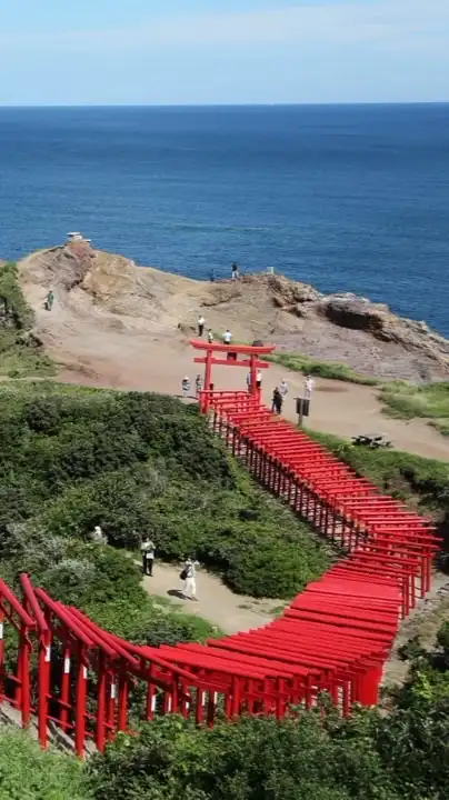 第41回管理栄養士国家試験合格