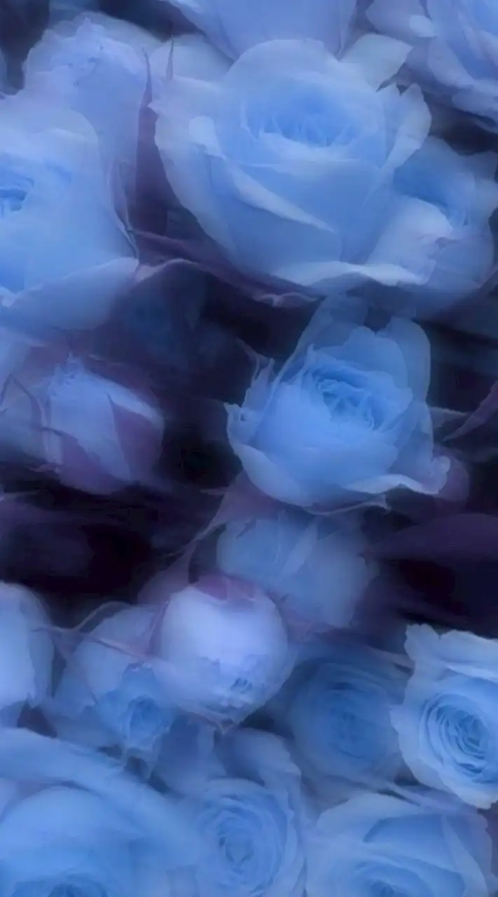 みんなでsinger（歌手）にならない？君が主役！