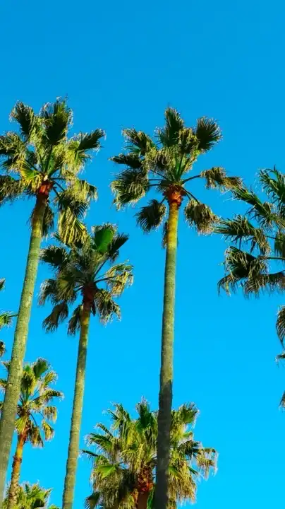 【辻堂】🧡シール情報交換🧡