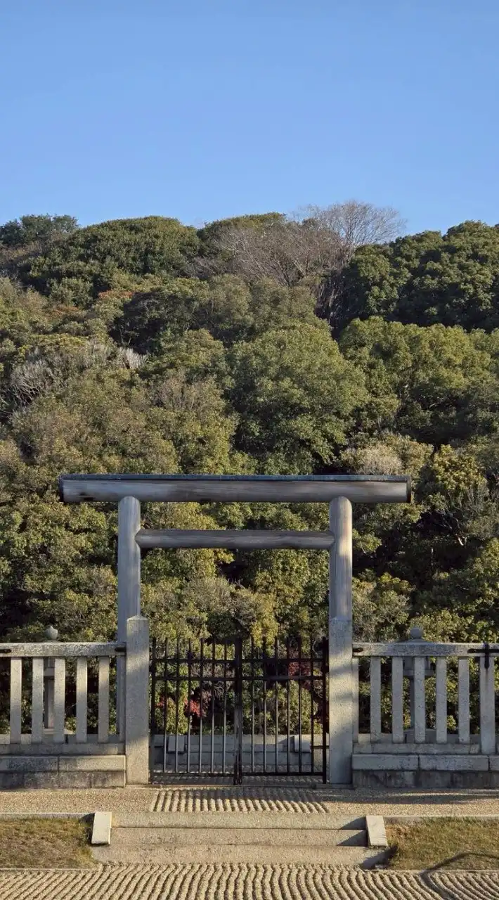ニコニコ神社⛩️チャンネル⛩️