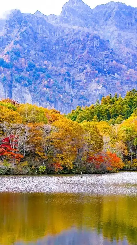 諏和組(地理系編集系)