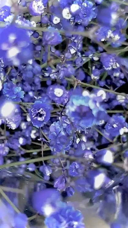 〇〇言葉特殊ハント⁉️MC実況者緩也❗️