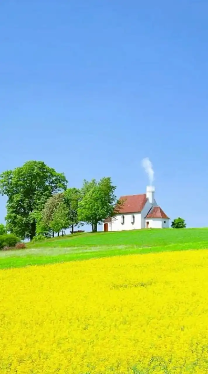 60代70代✨女性限定