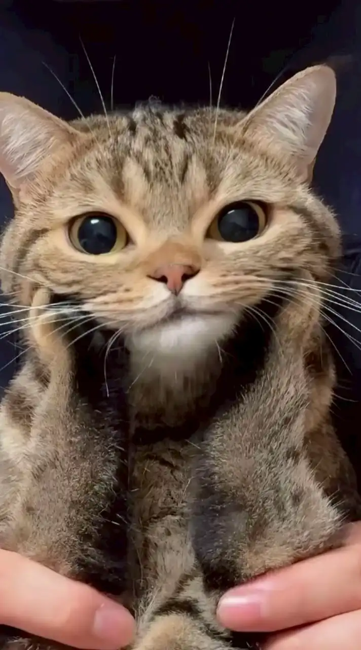 雑談とかいろいろ