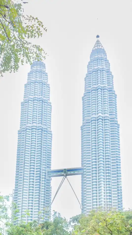 マレーシア留学🇲🇾×RenVia🌏