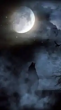 人狼ゲームオプ🐺