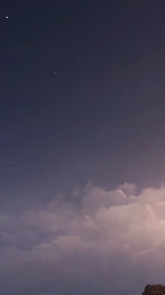 ＩＤＶ：手紙･捜索･壁打ちＯＣ