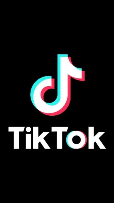 TikTok争奪戦 金魚すくい はちみつ 温泉宿