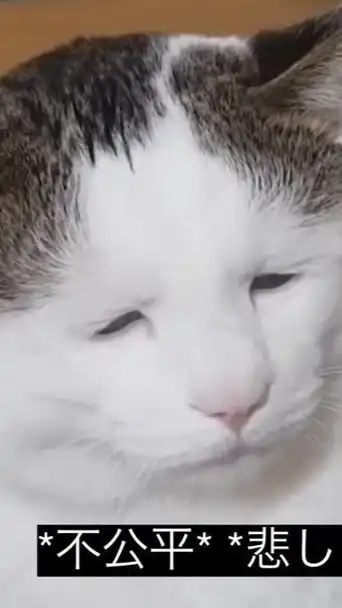 日本一緩い全也ハントって🈁らしい❣️❣️