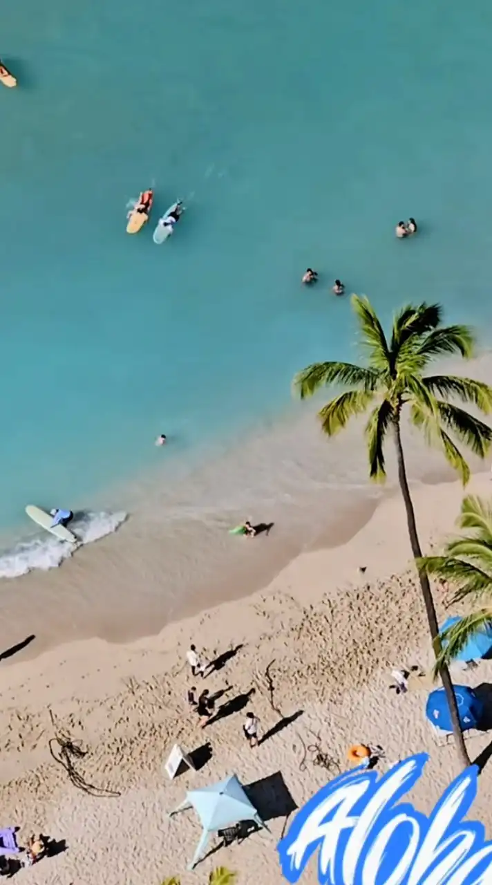 ハワイアンヒーリングmuumuuMoani🌺合言葉はAlohappy