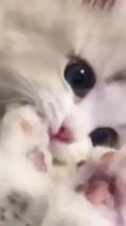 雑談したいやつこい！