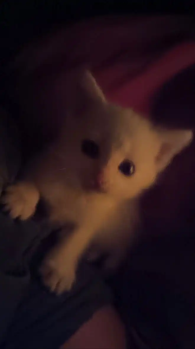 リア充なるまで帰れません‼️