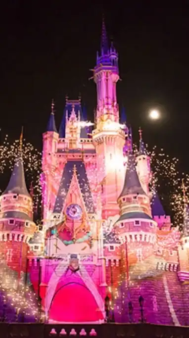 ディズニーダンオタオプチャ