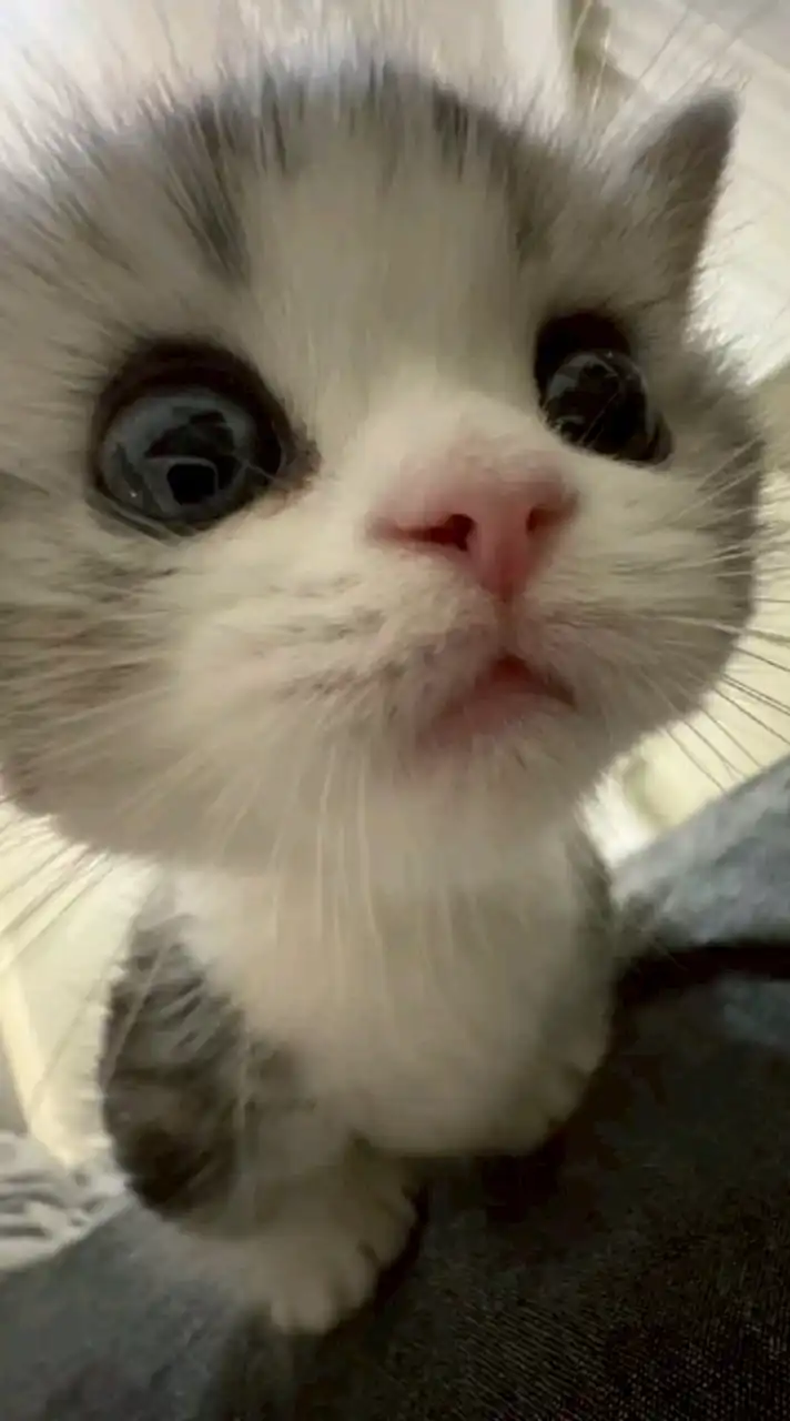 ゲーム雑談‼️