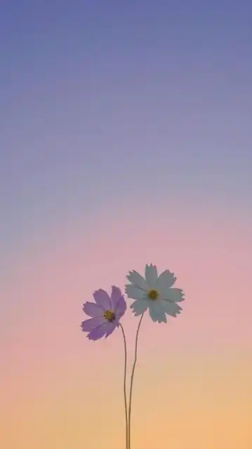 一匁の勇気を携えて ＊ 全緩ハント