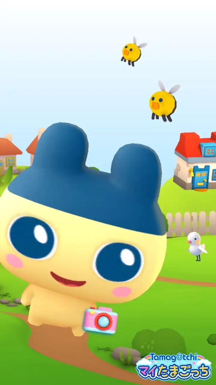 シール情報交換　福岡県　八女市　久留米市　