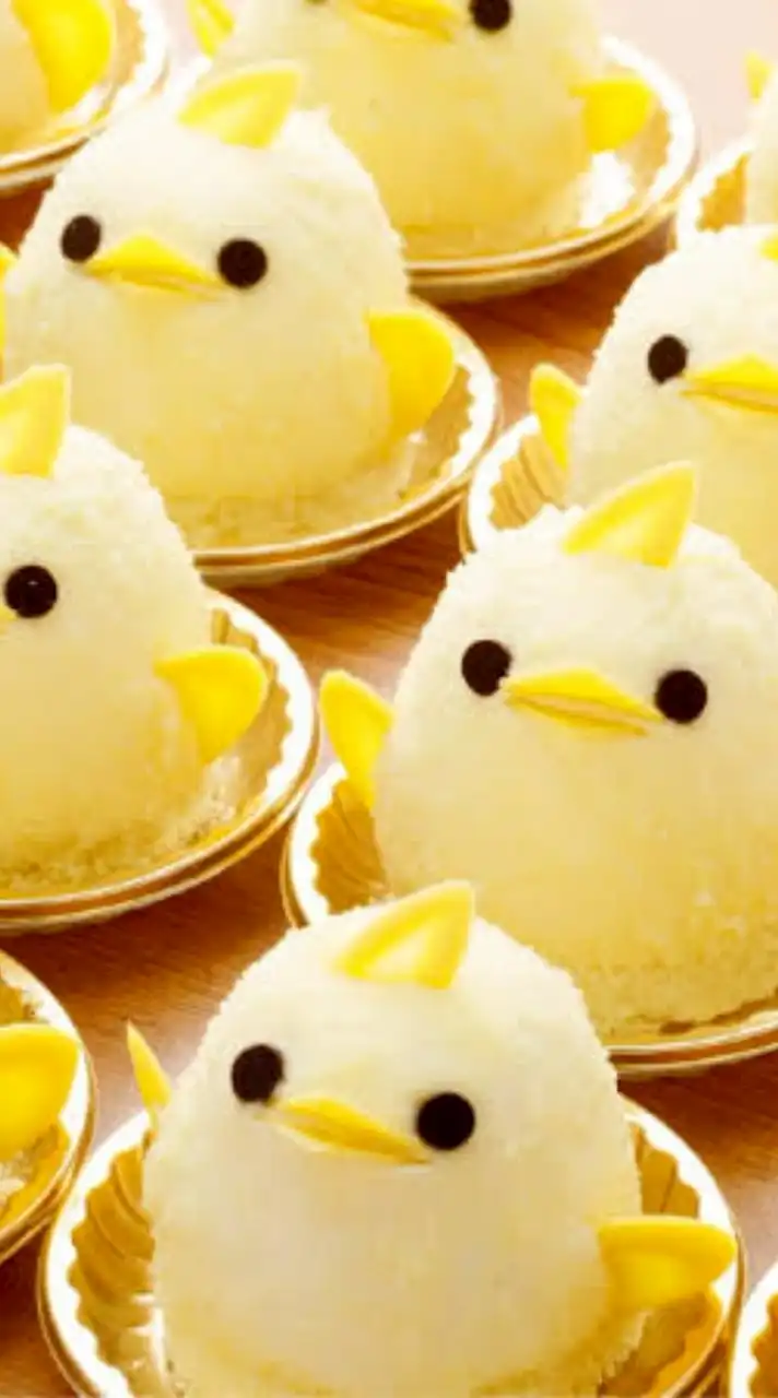 🐤ひよこ🐤初~中級🐤みんなが答える韓国語