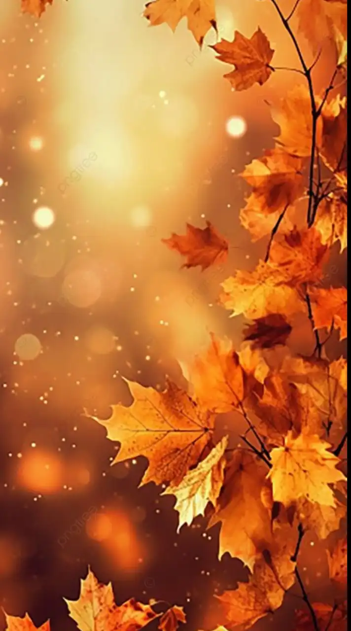 🌕【おはなし、しよう☺️】ゆっくりお悩み不安相談室🌕