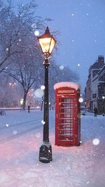 雪が綺麗と笑うのは　❄︎.*　全緩夢ハント