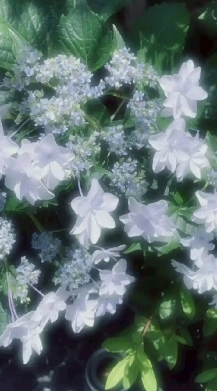 ︎ ︎ずっと好きだった　、 ︎ ︎