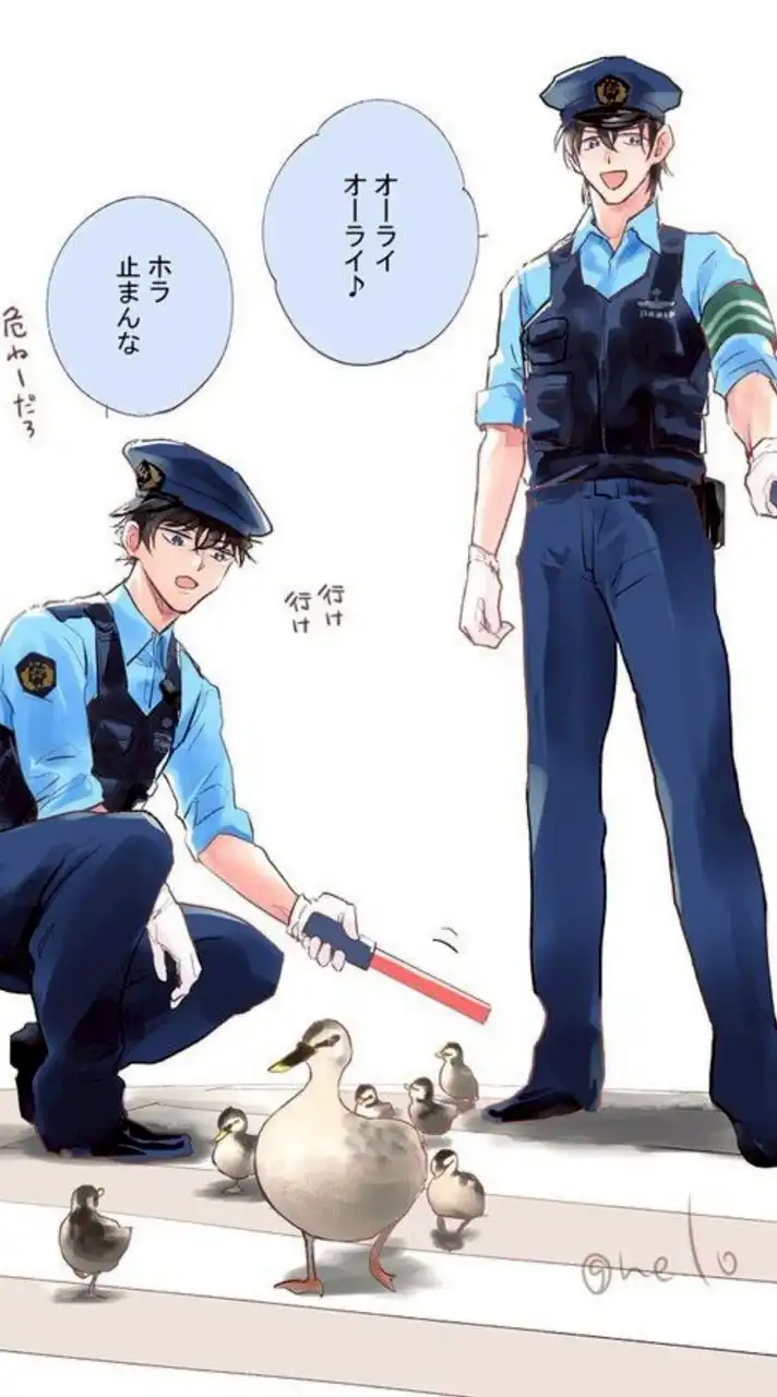 激緩杉ちゃって 御免 ‼️ DC 也 ⁉️