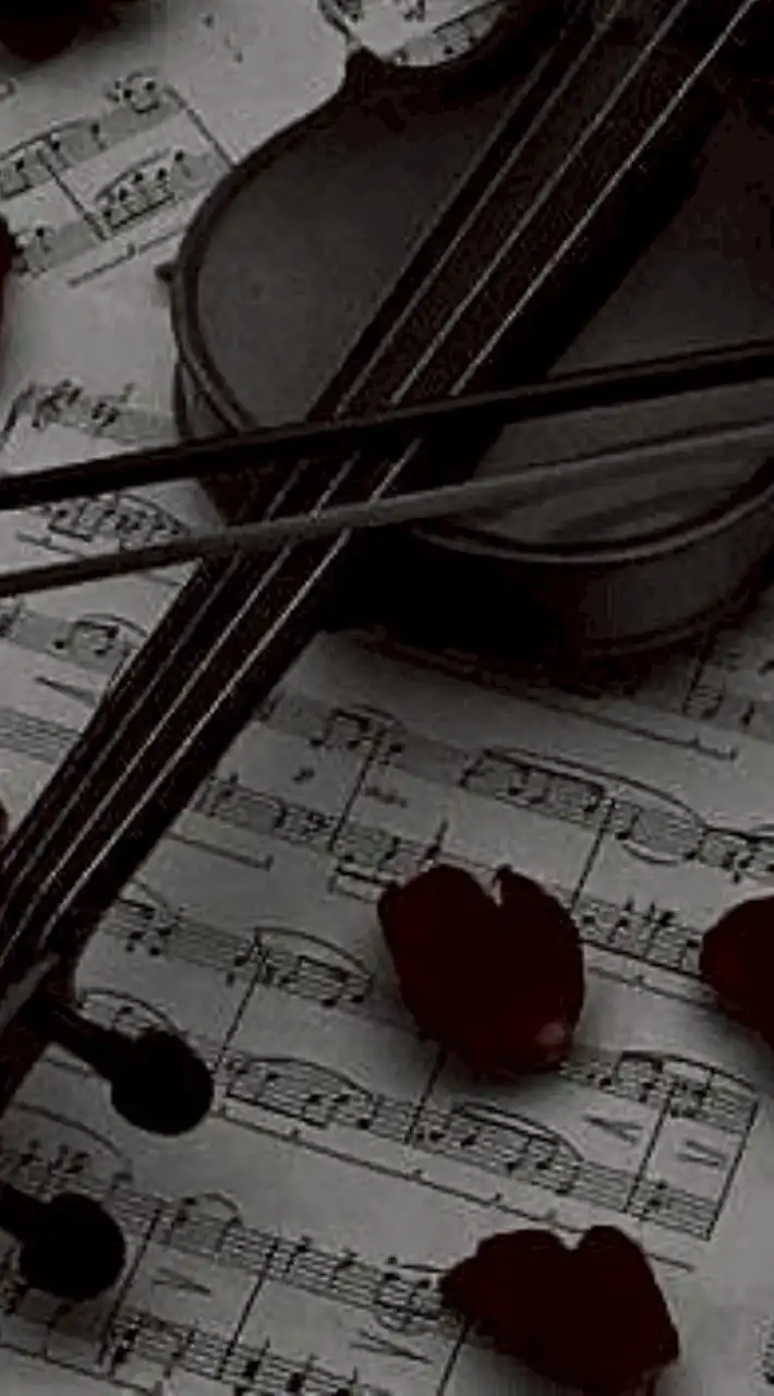 折＿薔薇🥀𓈒𓂂𓇬