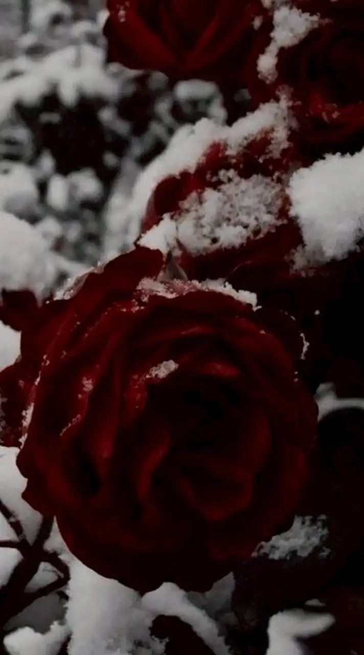 絶対安全ドラッグ : 旧戦争屋緩也ハント