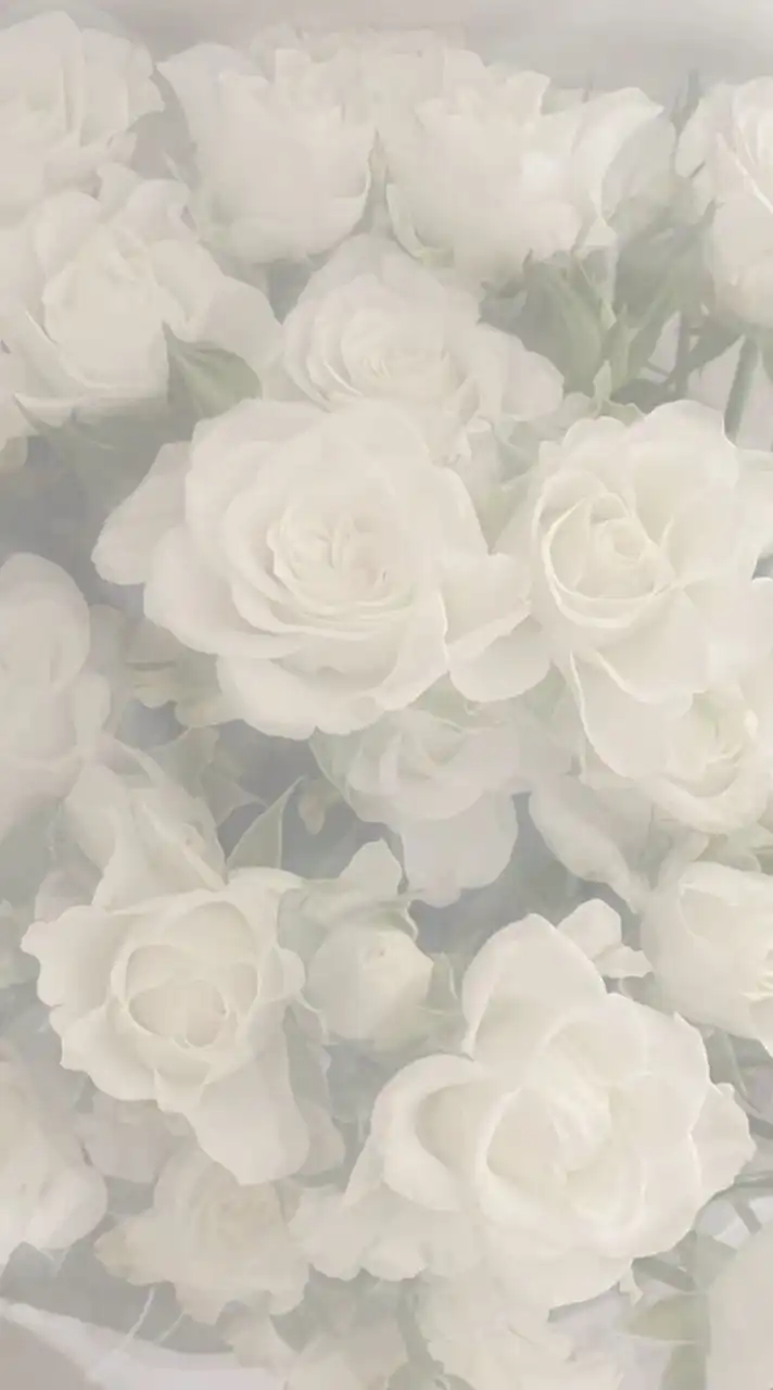 貴方の傍では　。