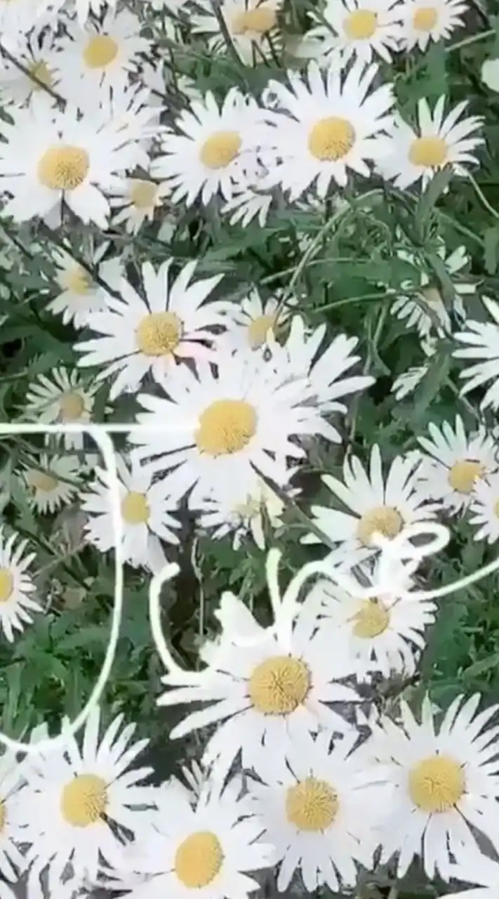 アイドルデビューしよっ？！