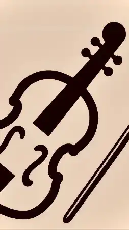 バイオリン🎻好き（中高学生）