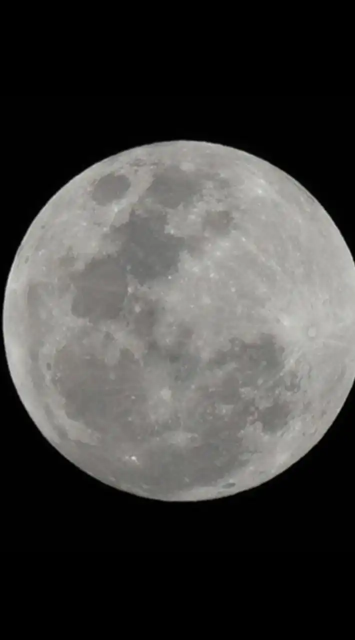 歌枠、雑談、恋バナ