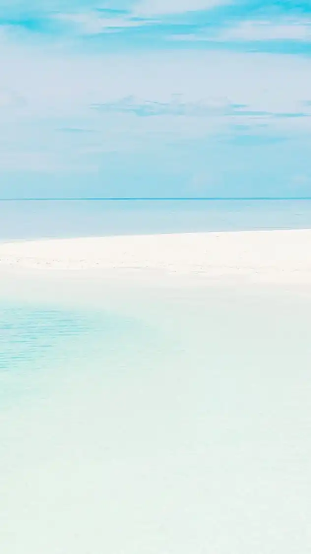 みんな仲良し雑談部屋ァ！！！！！