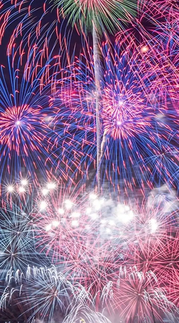 ナイトマーケット