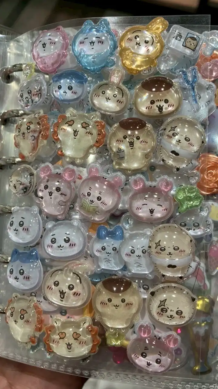 入門)ぼんドロシール学園(愛知)