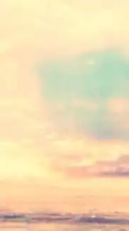 🌿ゆる活🌿room