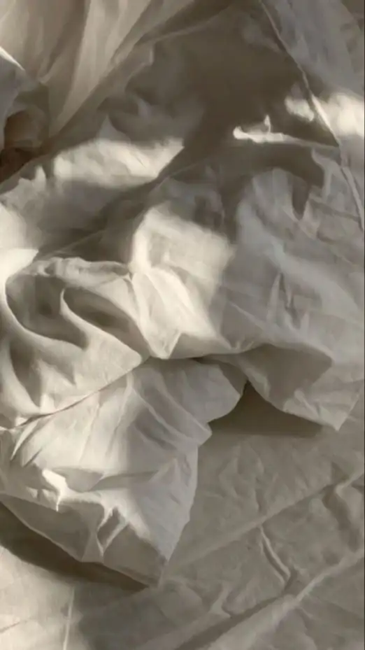 Ｈｕｎｔ：全也