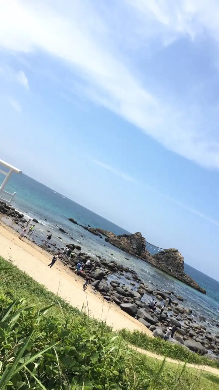【配信専用】FXユーロドル1コインシグナル