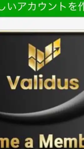 Validus（バリダス）月利10%資産運用サービス‼️神谷グループ