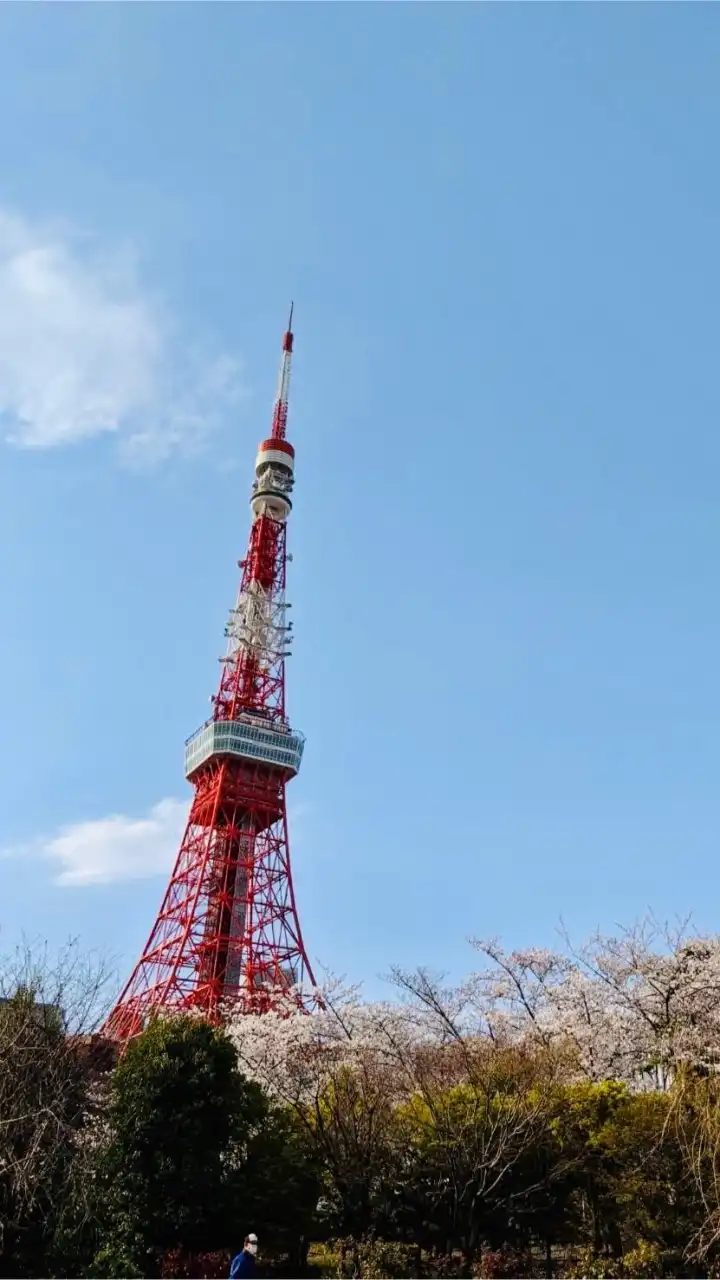 東京房市研究所