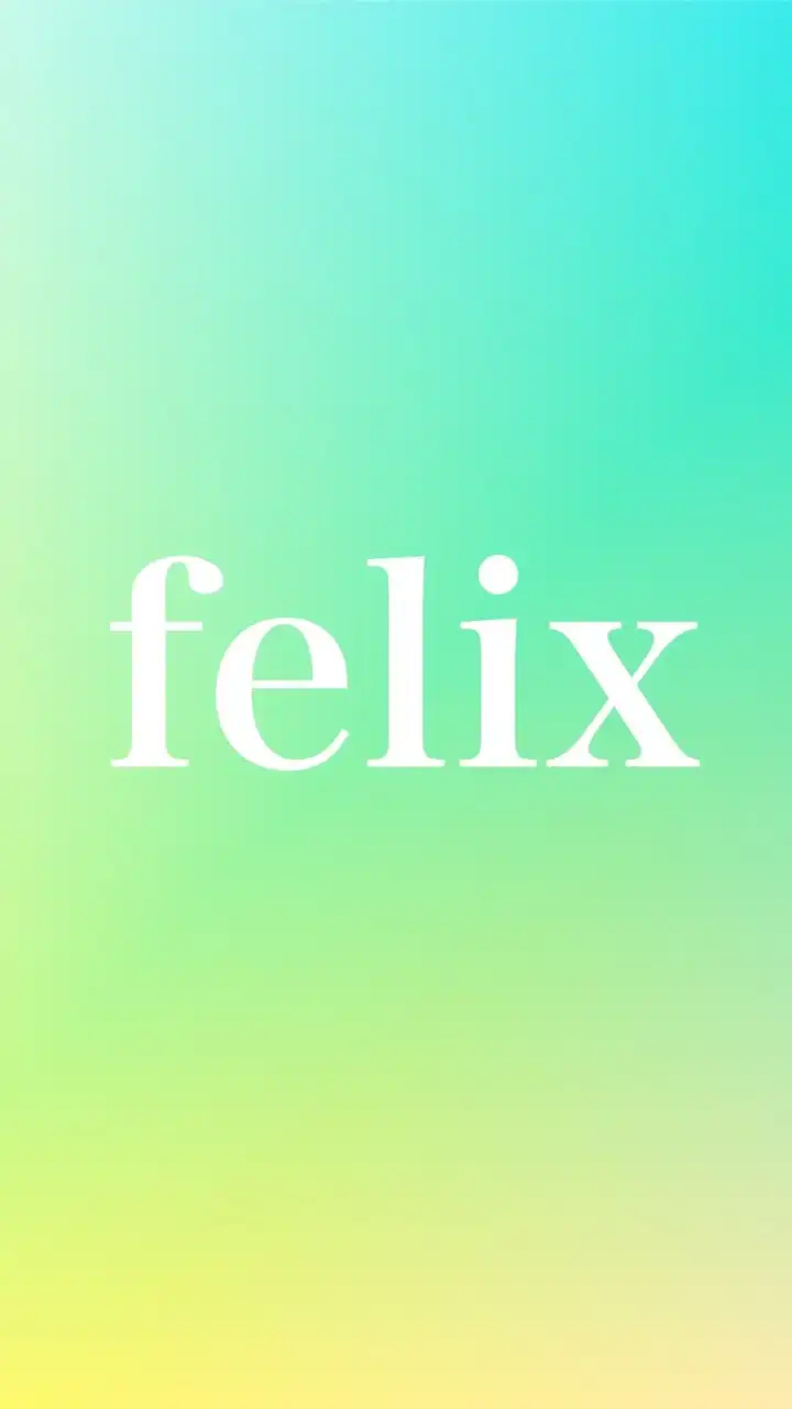 felixグループ 副業・在宅ワーク・資金調達