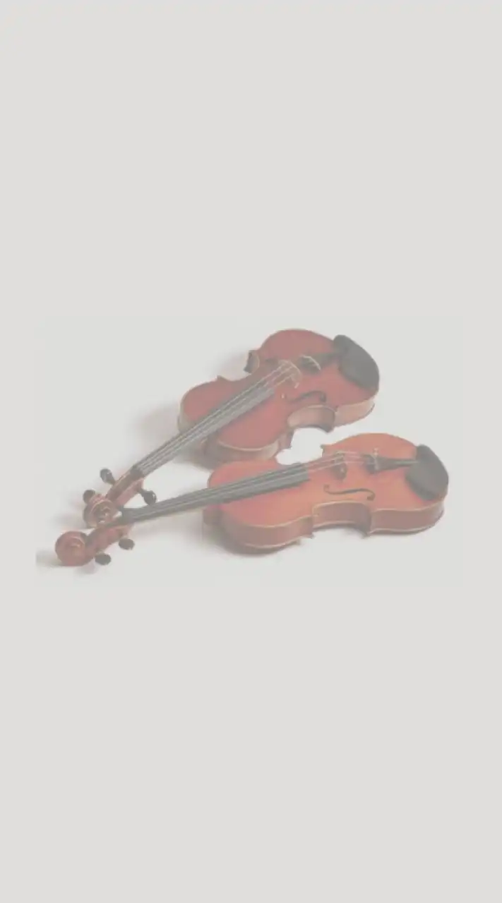 バイオリンが好きな人！