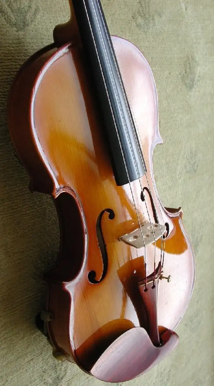 バイオリンのオフ会情報