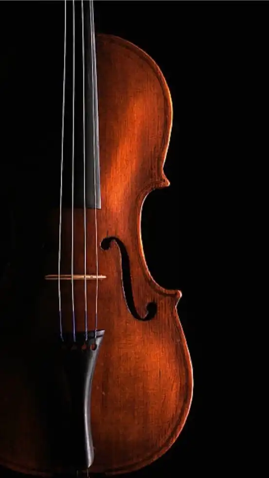 Violin 相談室