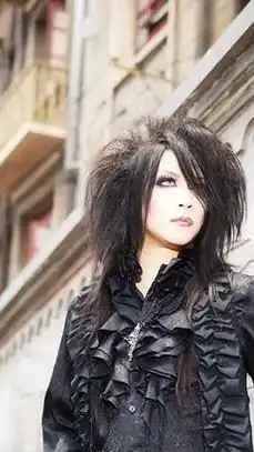 ヴィジュアル系好きな人