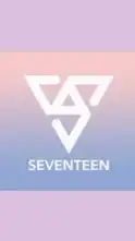 SEVENTEEN💎ヌナCARAT