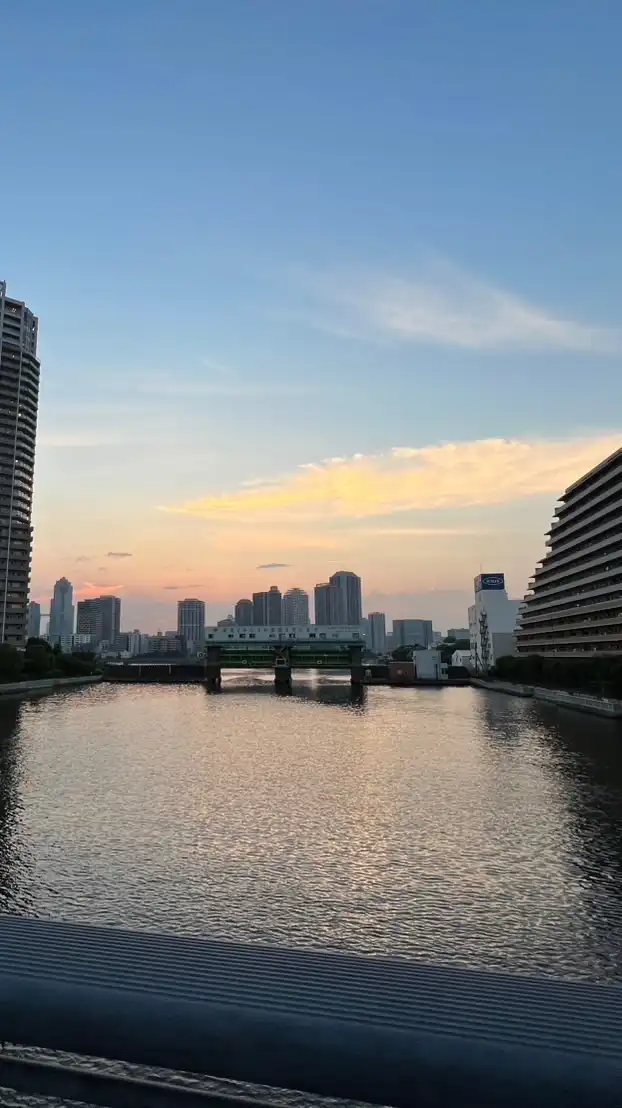 東京湾岸に関する情報(豊洲 勝どき 東雲 有明 晴海 月島 佃 枝川 中央区 江東区)