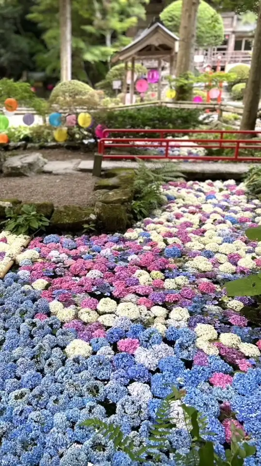 🌳【つぶやき部屋】ベネマダム御用達ウィメンズパーク仲間