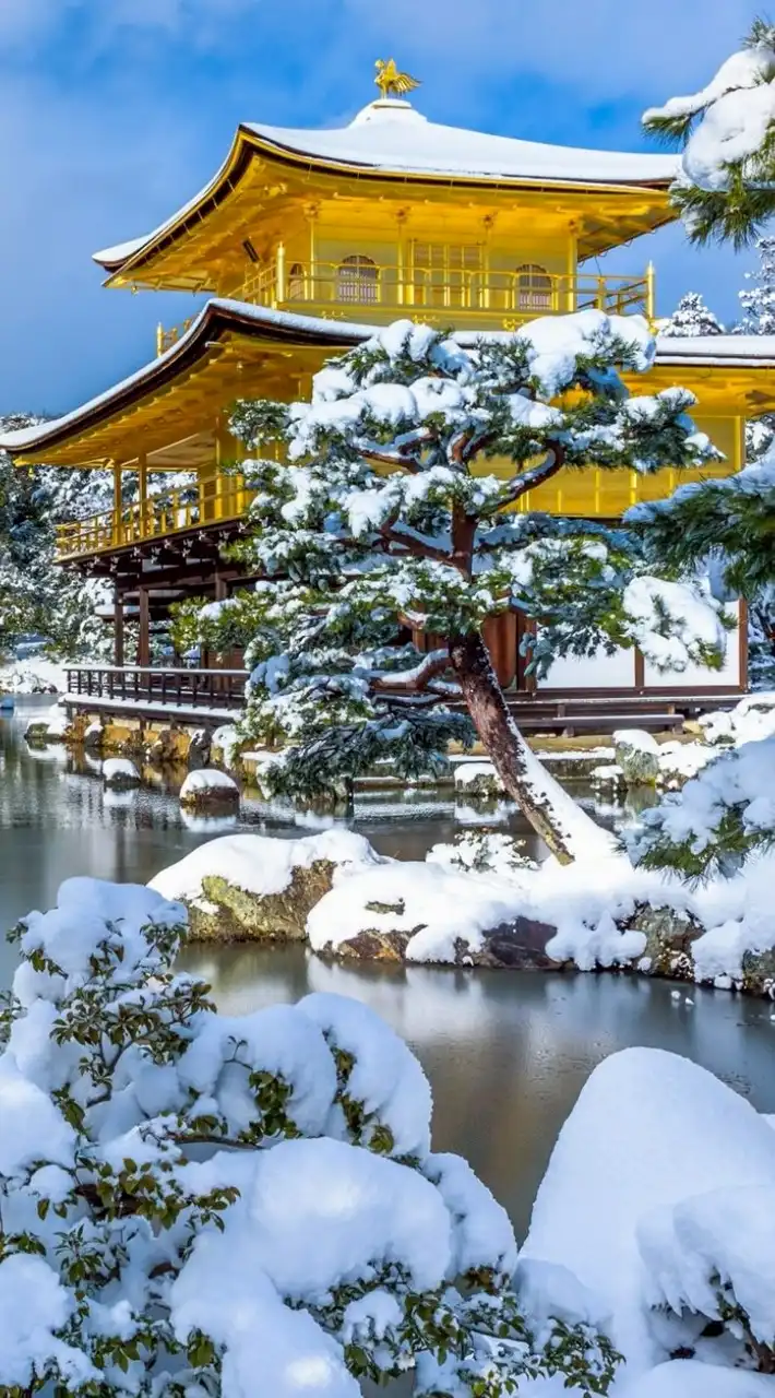 旅するお父さんと楽しい仲間の憩いの部屋。👻