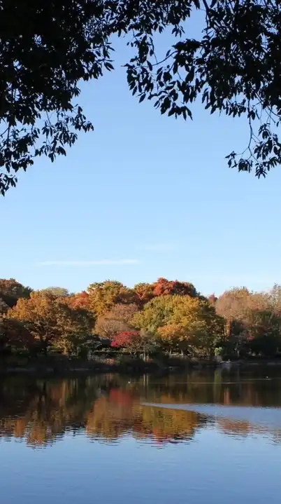 挨拶だけSIDE5スタンプ